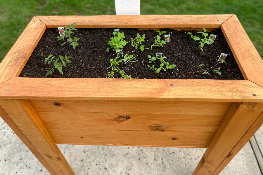 VEGETABLE GARDEN IDEAS FOR SMALL SPACES