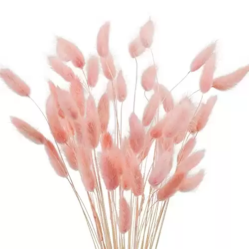 Uieke 17’’ Natural Bunny Tails Dried Flowers, 50 Pcs Dried Lagurus Ovatus, Dried Pink Pampas Grass Decor for Farmhouse Flower Arrangements Wedding Home Boho Party Decorations