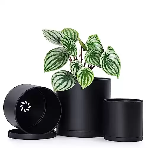 D’vine Dev 4 Inch 5 Inch 6 Inch, Set of 3 Plastic Planter Pots for Plants with Drainage Hole and Seamless Saucers, Black Color, Small, 74-E-S-2