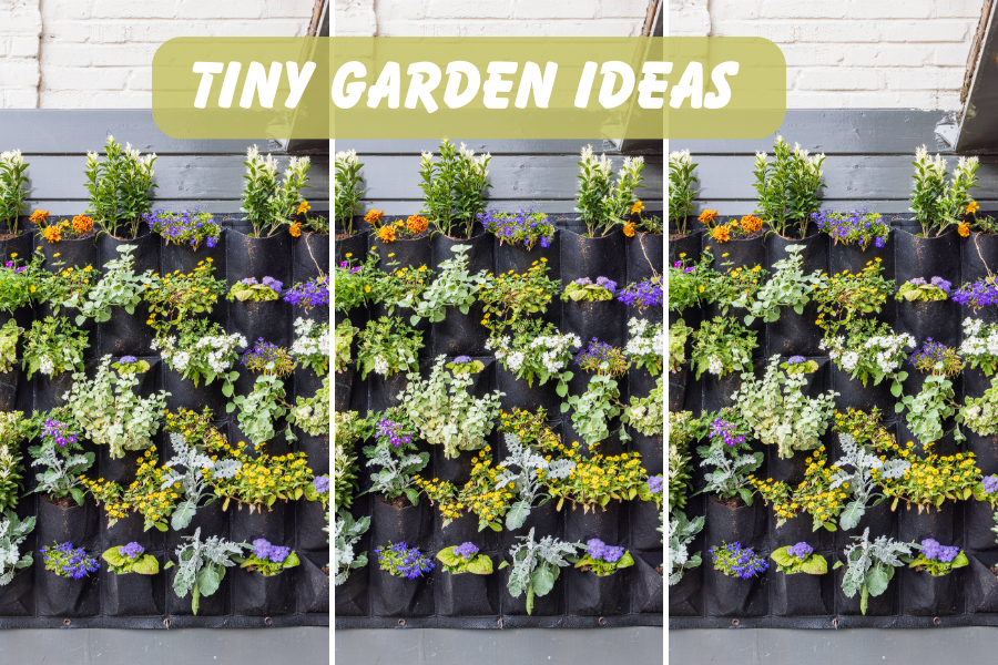 TINY GARDEN IDEAS