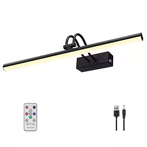 RAIFOOLLY Picture Light, 16in Battery Operated Picture Lights for Paintings,Metal Remote Control Display Art Light with Timer and Dimmable for Wall Painting,Frame, Portrait, Dartboard(Black)