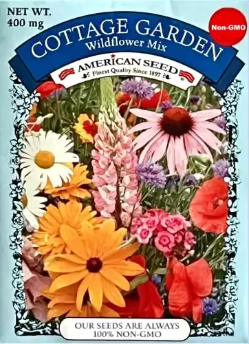 American Seed Cottage Garden Wildflower Mix Non-GMO