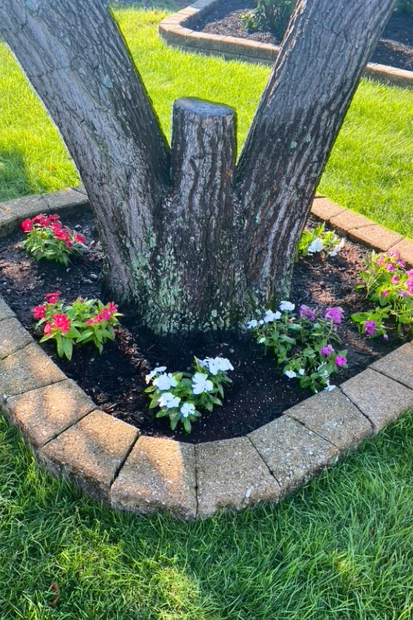 front yard flower bed ideas front of house