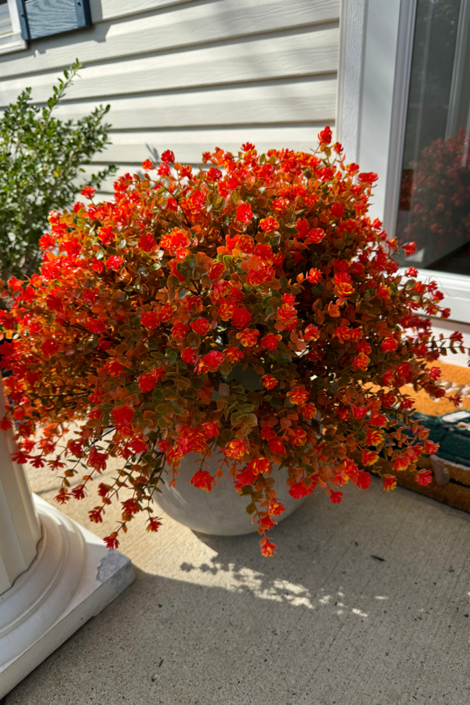fall diy decor