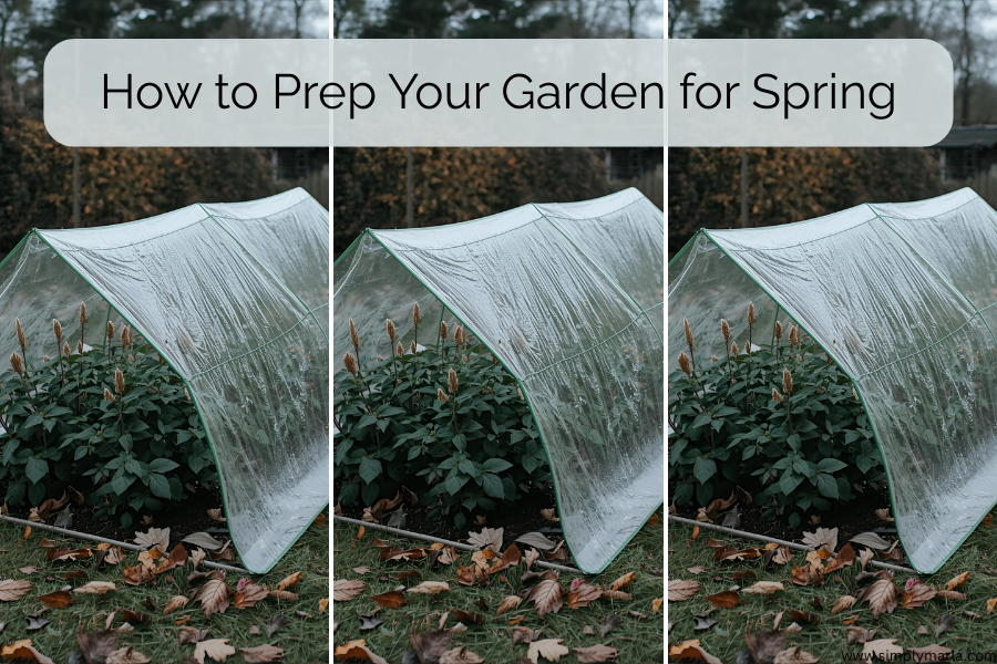 how to prep your garden for spring