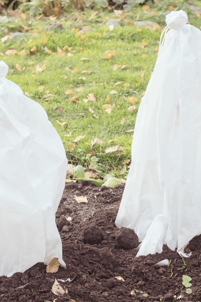 how to prepare your garden soil for spring