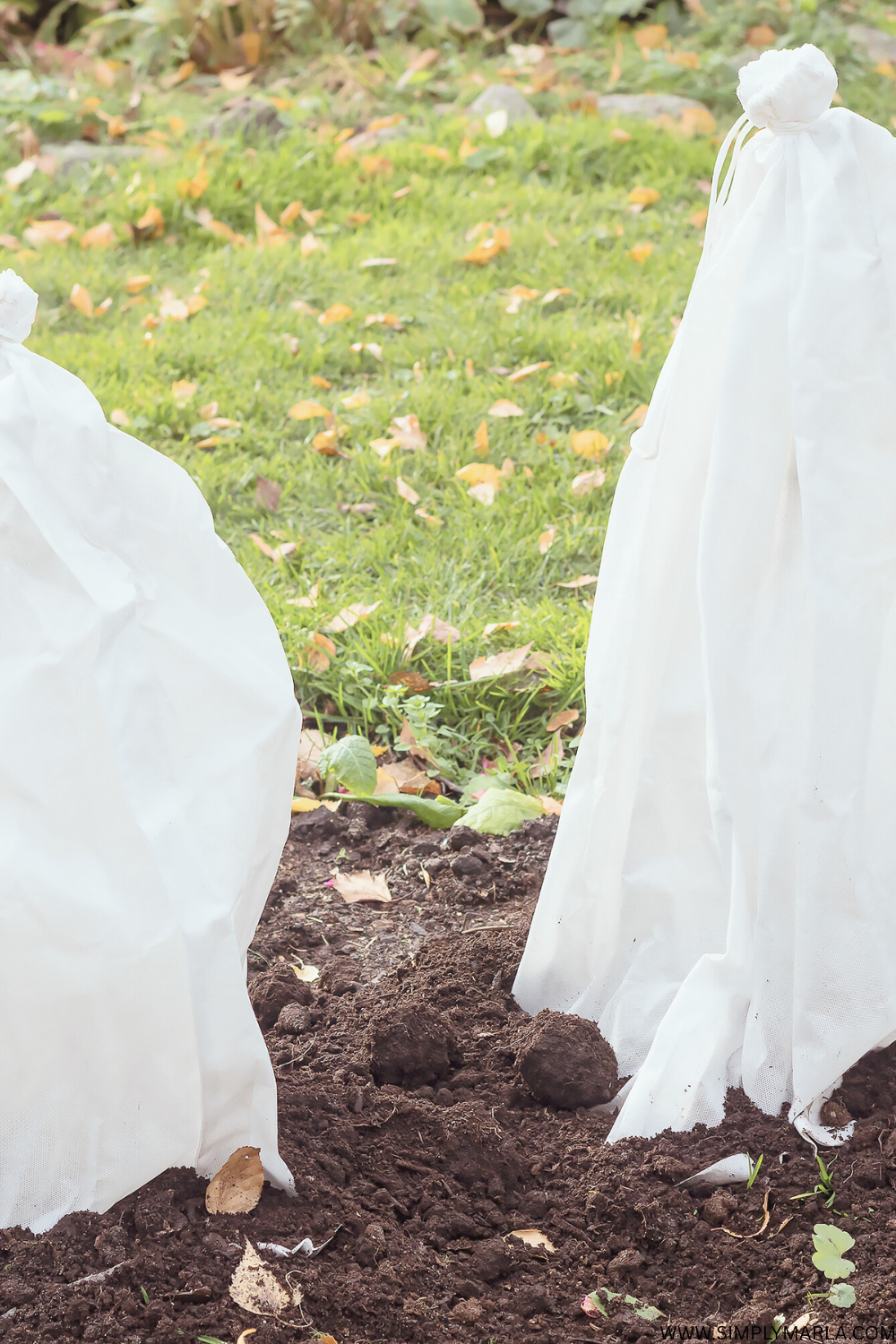 How to Prep Your Garden for Spring During the Winter