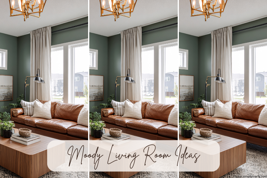 moody living room ideas