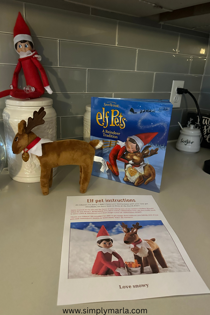 elf pet arrival elf on the shelf