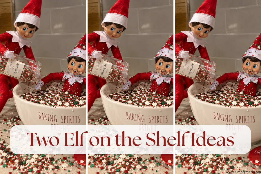two elf on the shelf ideas